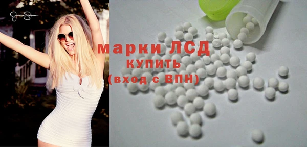 твердый Новозыбков
