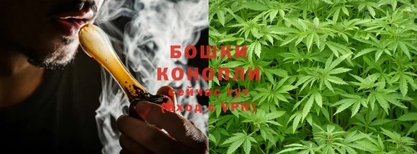 твердый Новозыбков