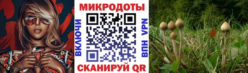 Галлюциногенные грибы GOLDEN TEACHER Тотьма